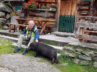 Schwein gehabt... Auf der Putzentalalm